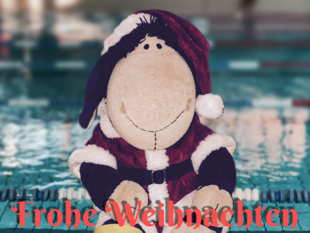 Weihnachts-Maskottchen Hotti